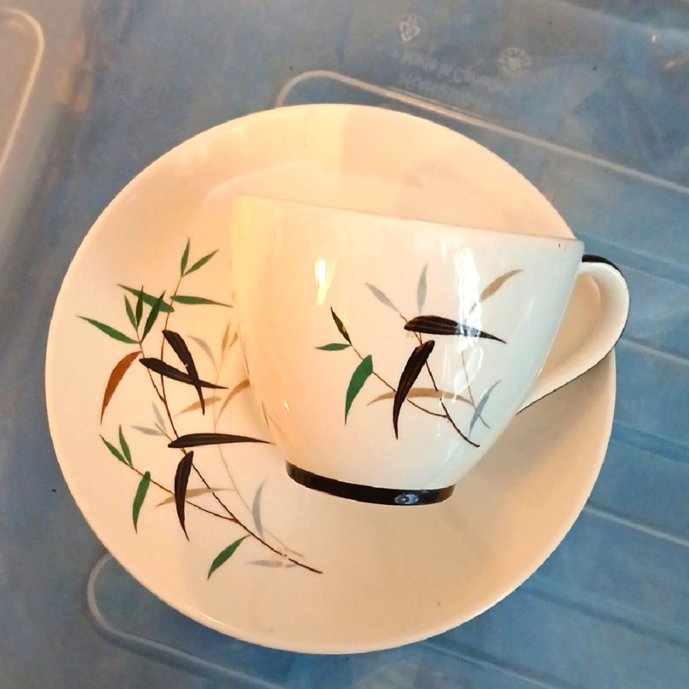 Elegant 1930s Royal Doulton, Bamboo Design Cup and Saucer, D6446